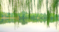【養(yǎng)生知識】已入五九，六九將至，五九的養(yǎng)生秘訣，你知道嗎？