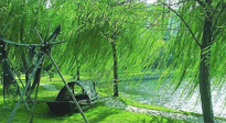 【養(yǎng)生知識】元宵入六九，春季已至，六九天的養(yǎng)生知識你知道多少？